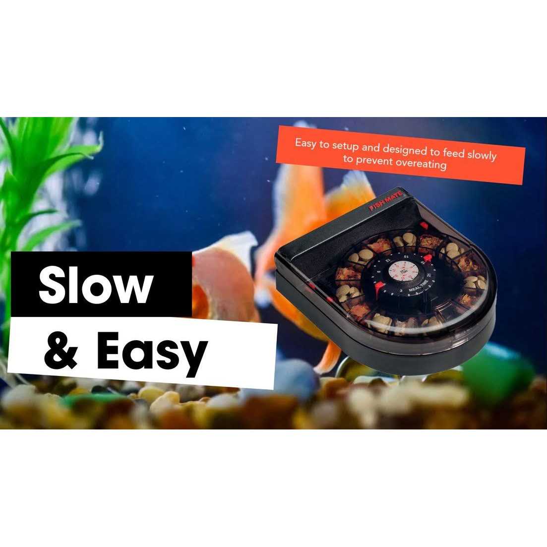 Fish Mate F14 Automatic Aquarium Fish Feeder - Nail Gallerys