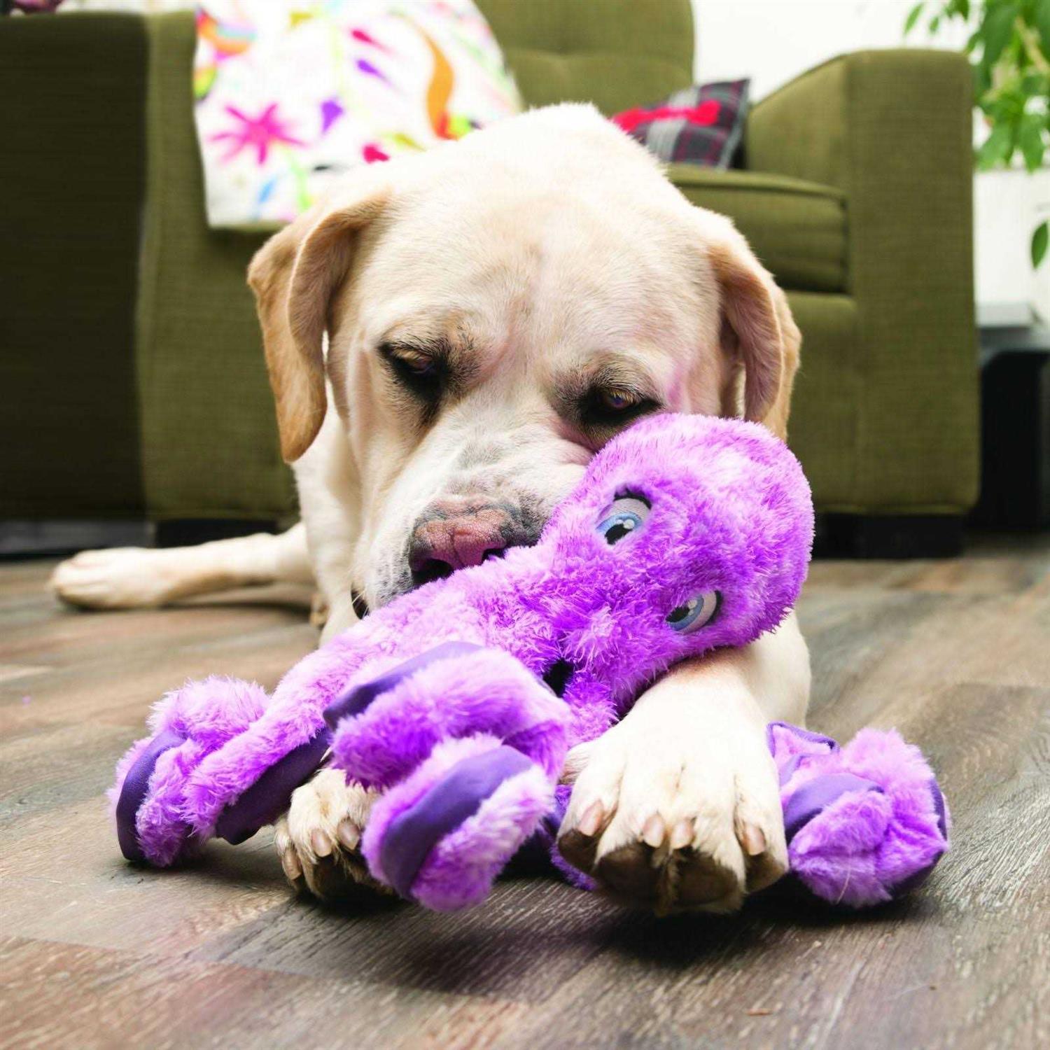 Kong SoftSeas Octopus Dog Toy - Nail Gallerys