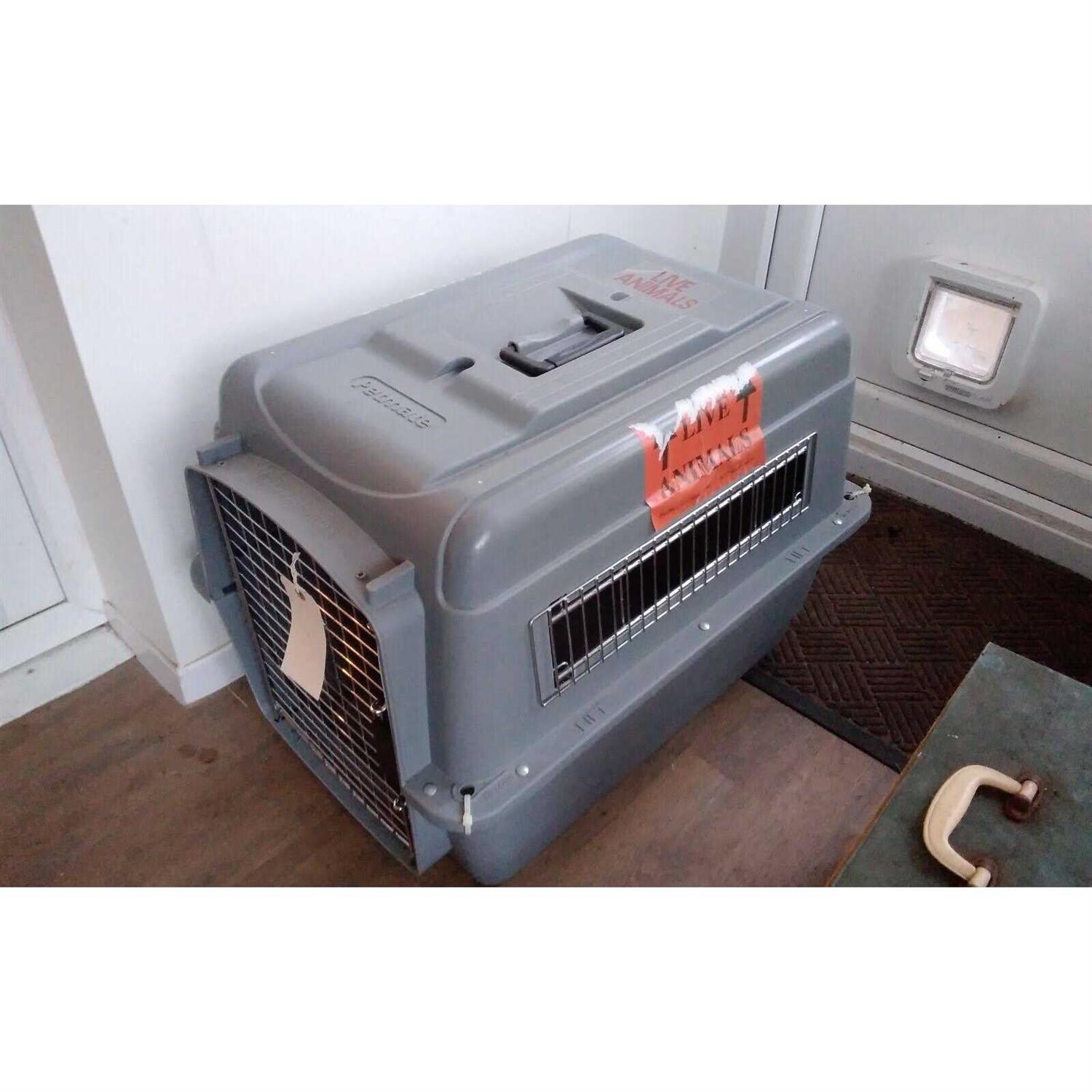 Petmate Sky Kennel - Nail Gallerys