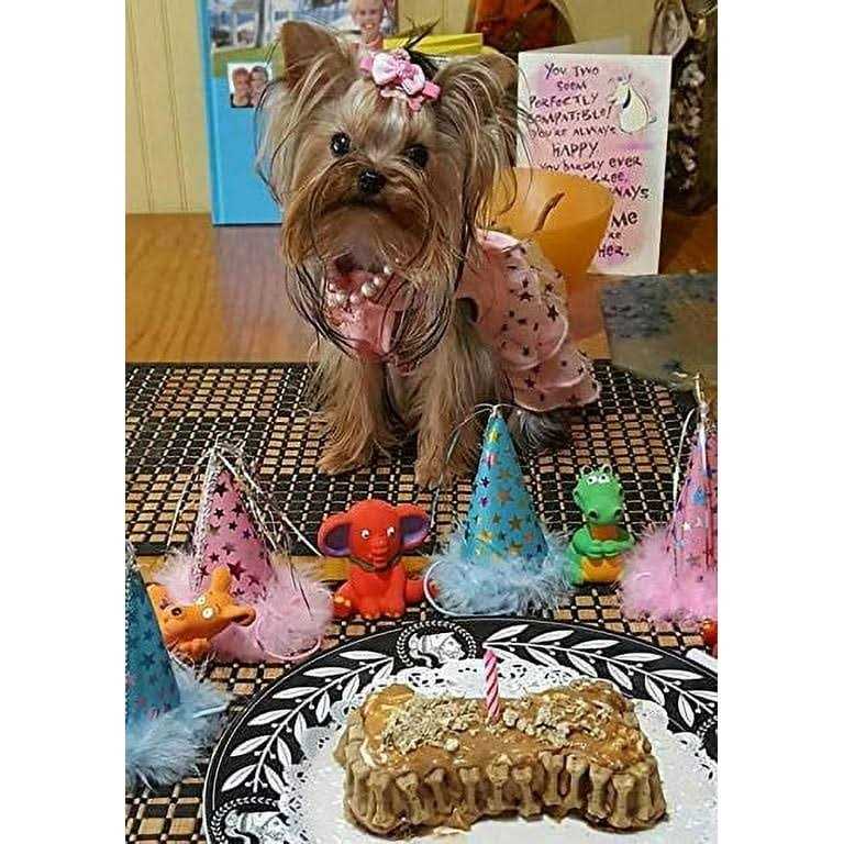Petcakes Birthday Cake Kit For Dogs - Nail Gallerys