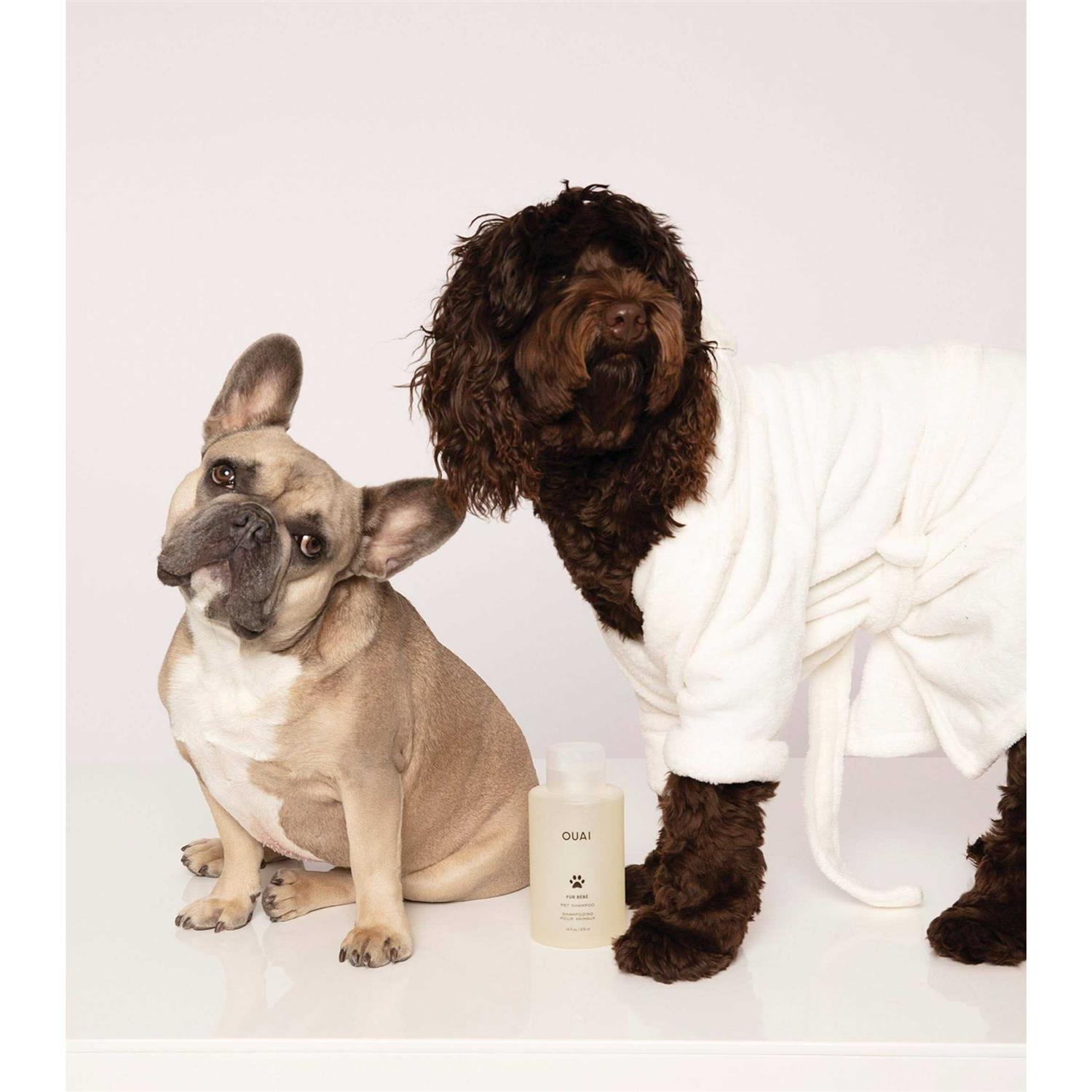 OUAI Fur Bébé Pet Shampoo - Nail Gallerys