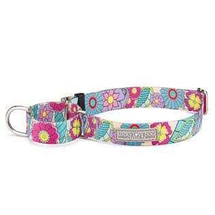 Lucky Love Dog Martingale Collar Premium No Slip Collar Great for Whippets, Greyhounds, and More - Nail Gallerys