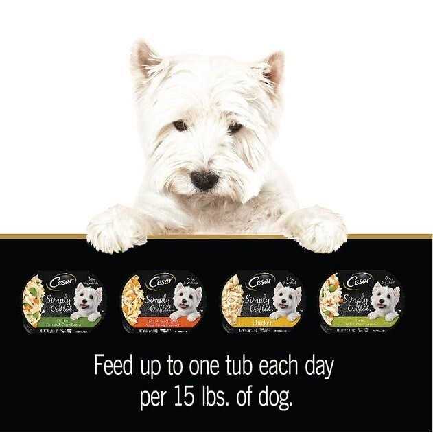 Cesar Wholesome Bowls Wet Dog Food - Nail Gallerys