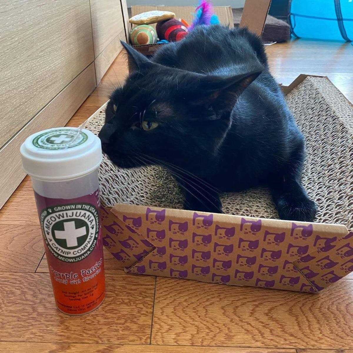 Meowijuana Purrple Passion Catnip - Nail Gallerys