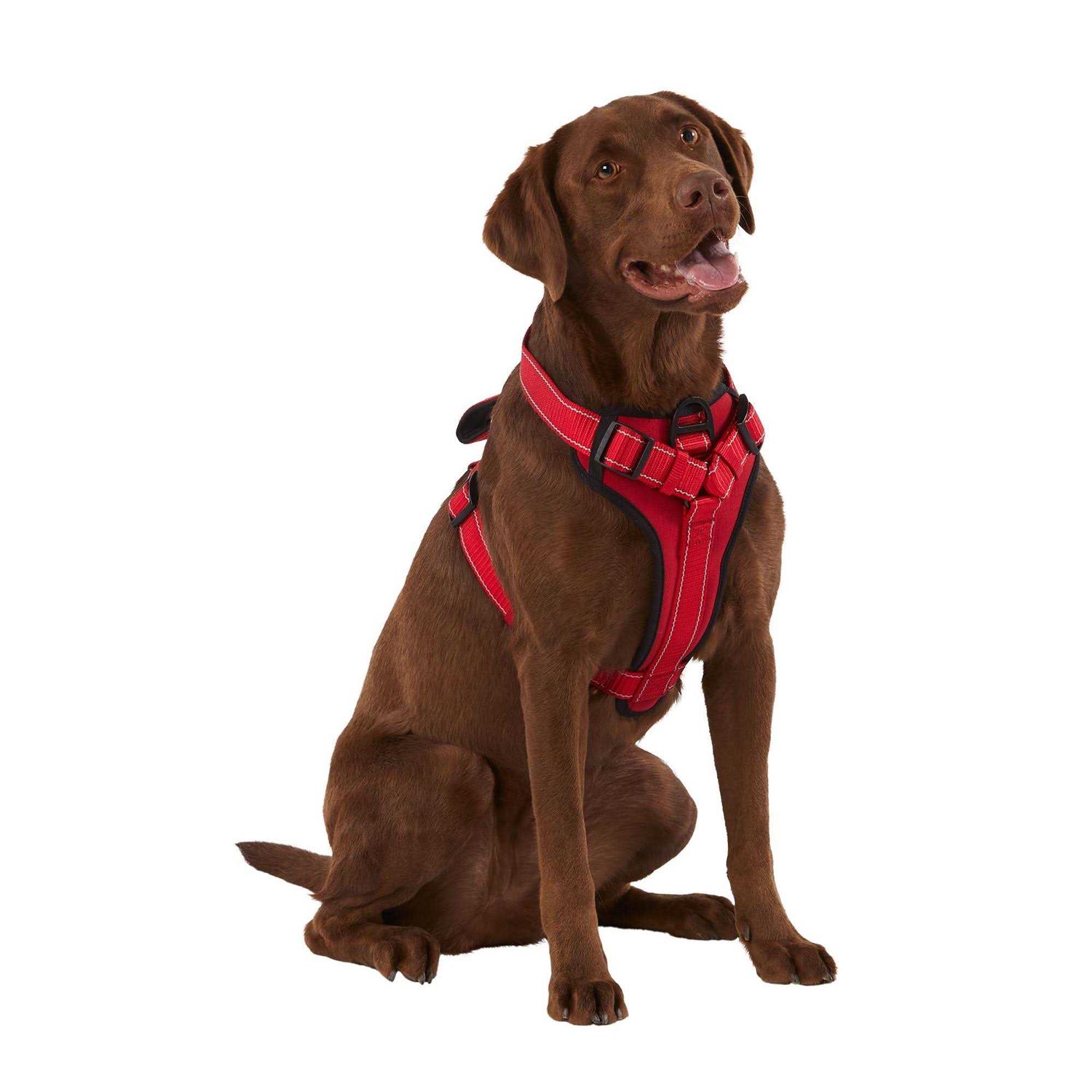 KONG MAX Neoprene Padded Dog Harness - Nail Gallerys