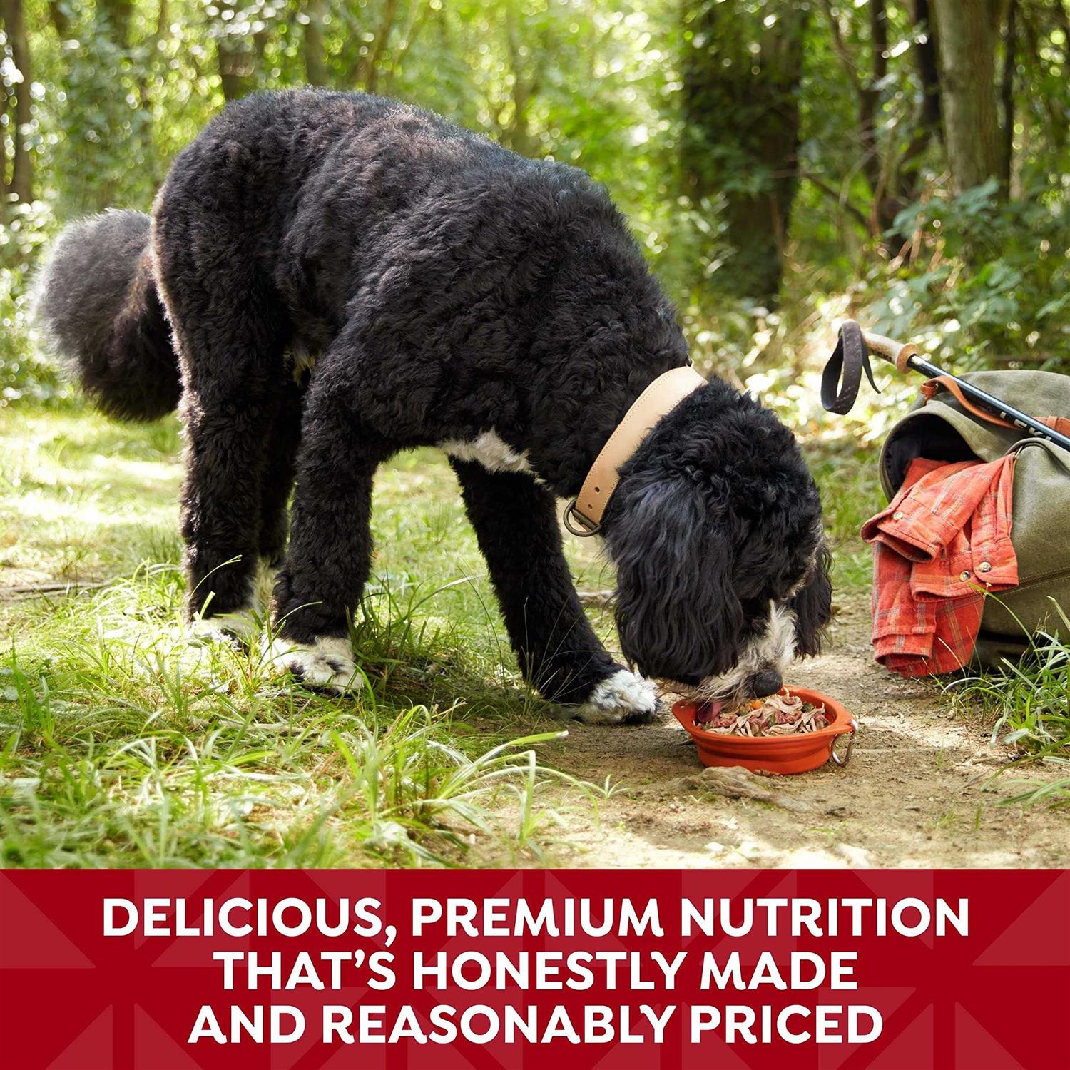 Nature’s Recipe Wet Dog Food - Nail Gallerys