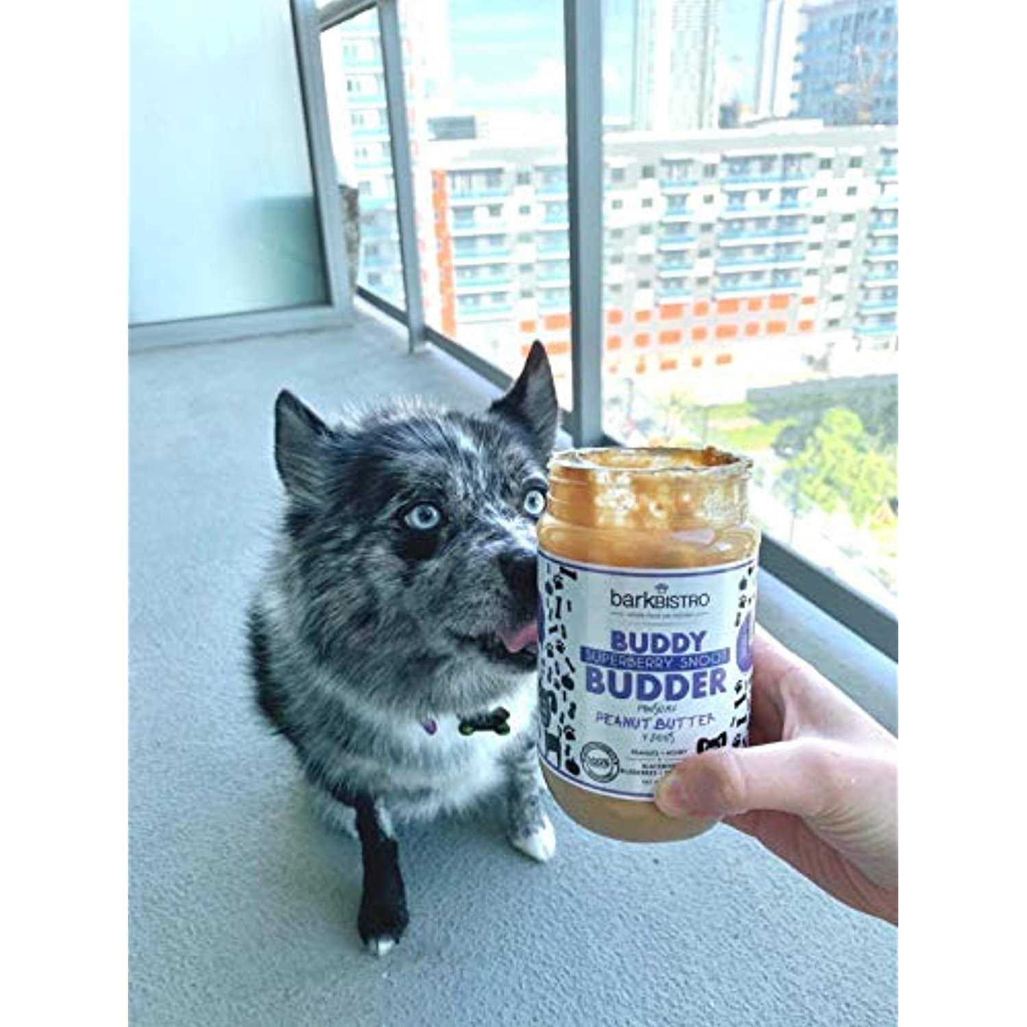 Bark Bistro Superberry Snoot Buddy Budder - Nail Gallerys