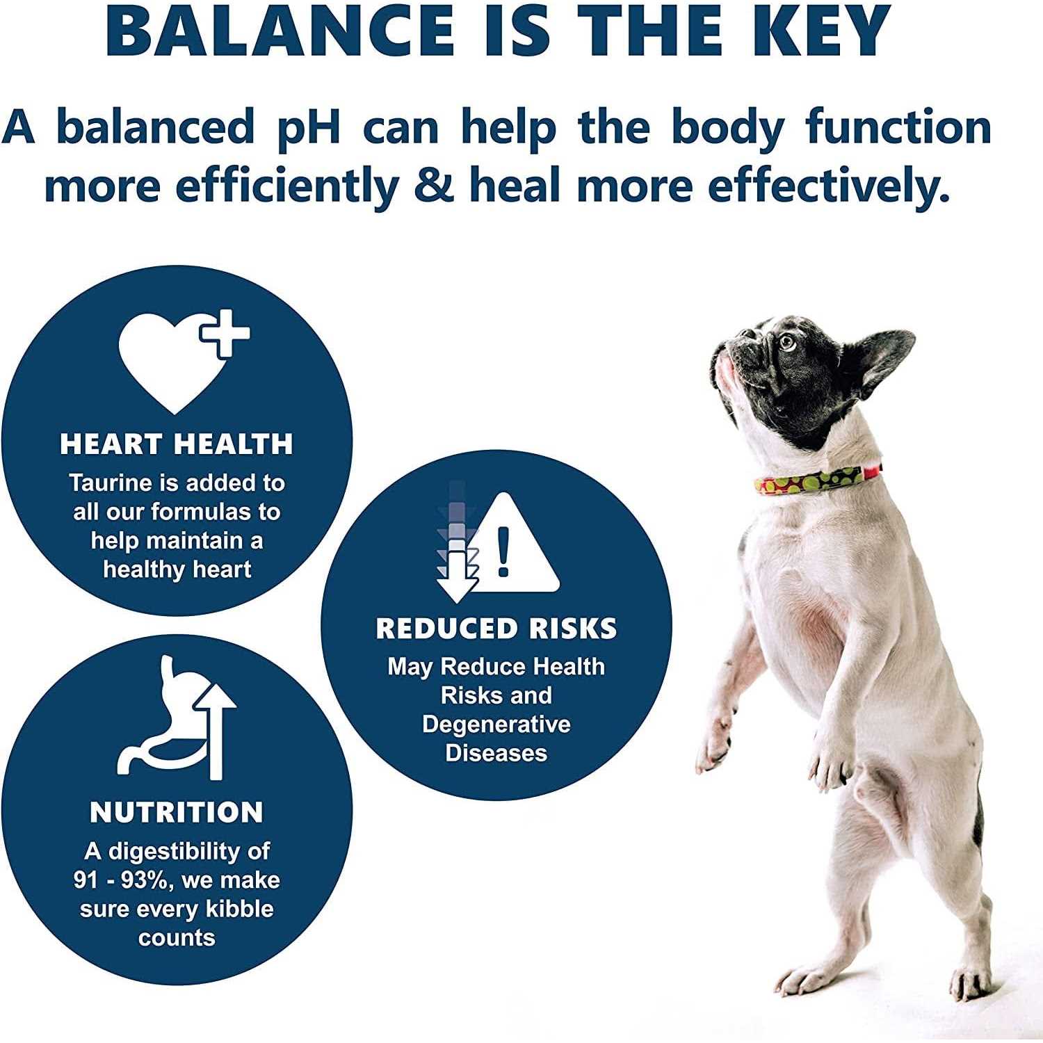 Canine Caviar Free Spirit Holistic Dry Dog Food - Nail Gallerys