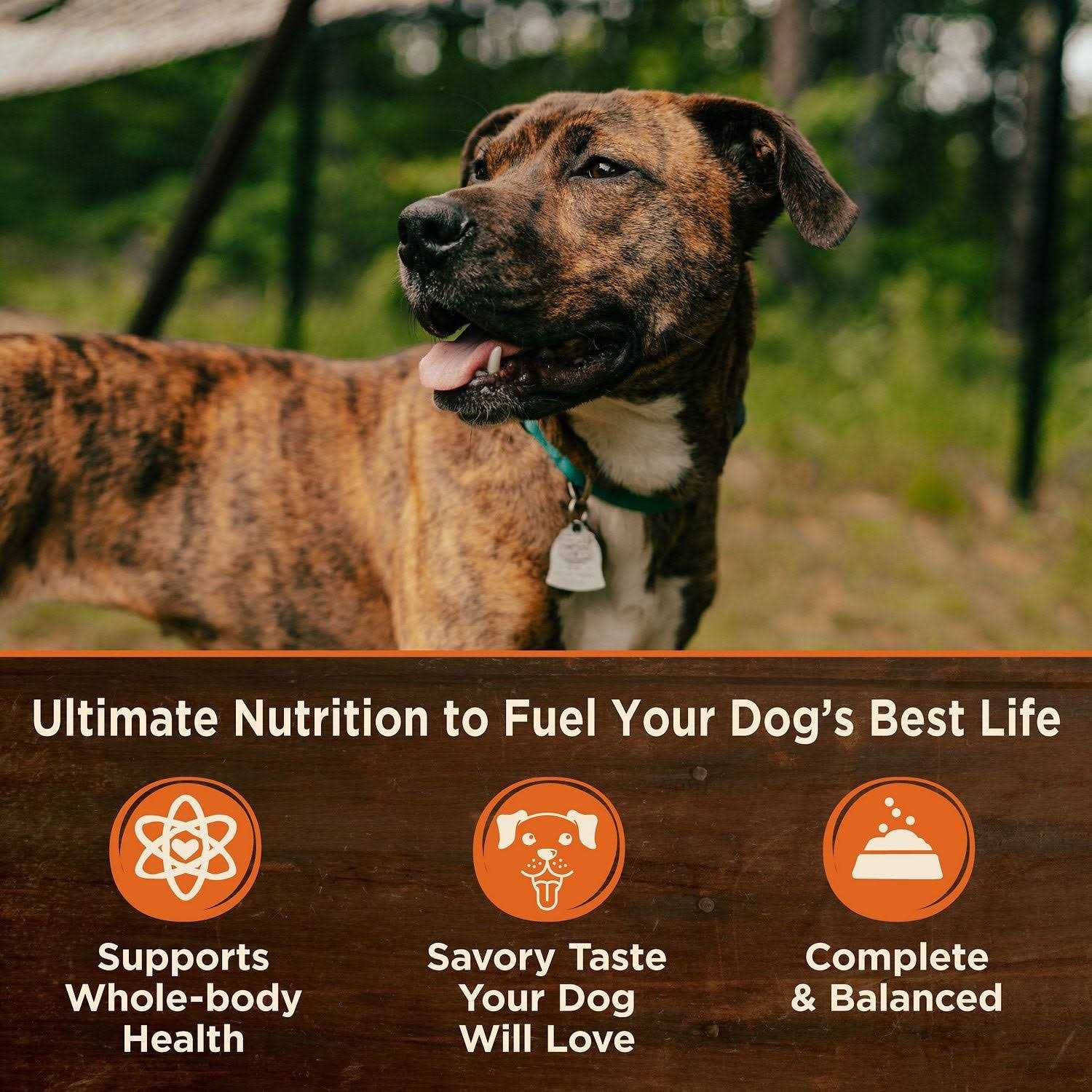 Wellness CORE Grain Free Natural 95% Beef and Carrots Recipe Wet Canned Dog Food - Nail Gallerys