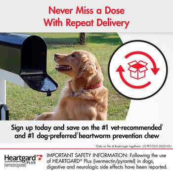 Heartgard Plus Chewables 1pk 01-25lbs for Dogs - Nail Gallerys