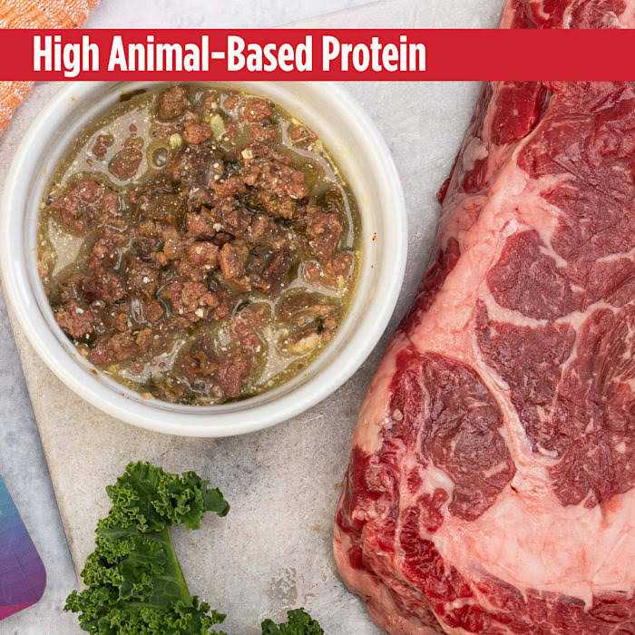 Nulo MedalSeries Limited Ingredient Broth Wet Dog Food - Nail Gallerys