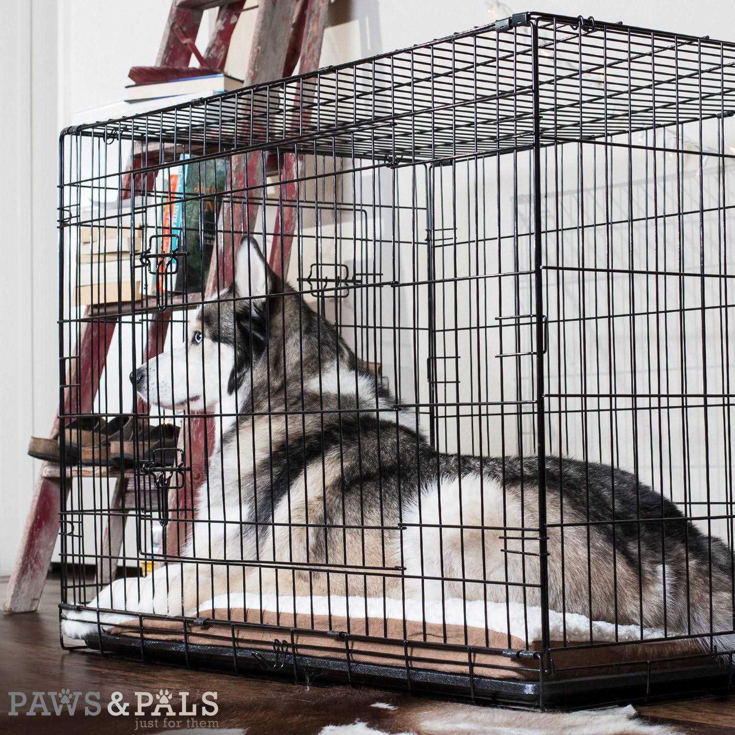 Paws Pals Double-Door Folding Wire Dog Crate - Nail Gallerys