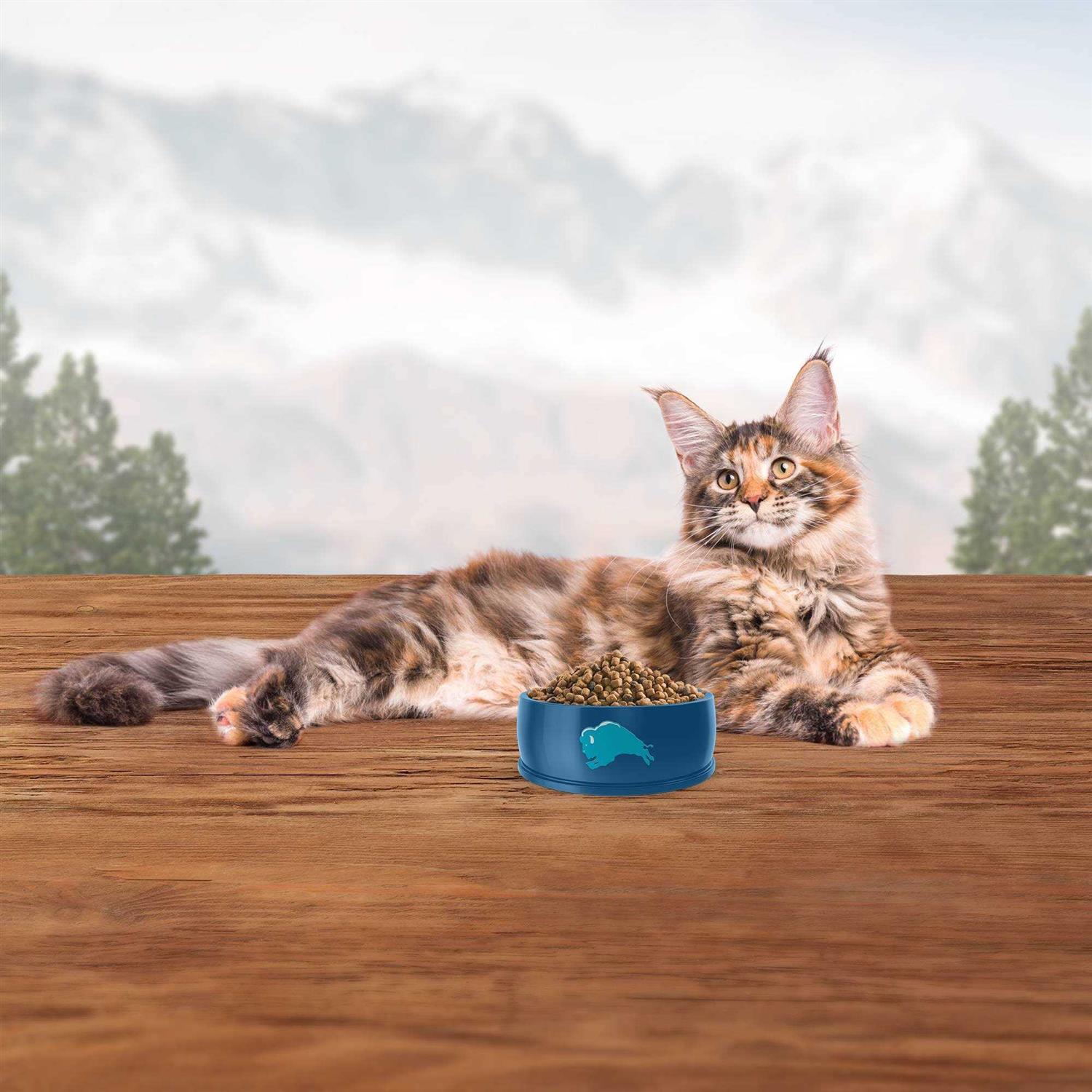 BLUE Wilderness Adult Dry Cat Food - Nail Gallerys