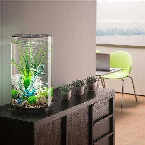 Oase biOrb TUBE - Nail Gallerys