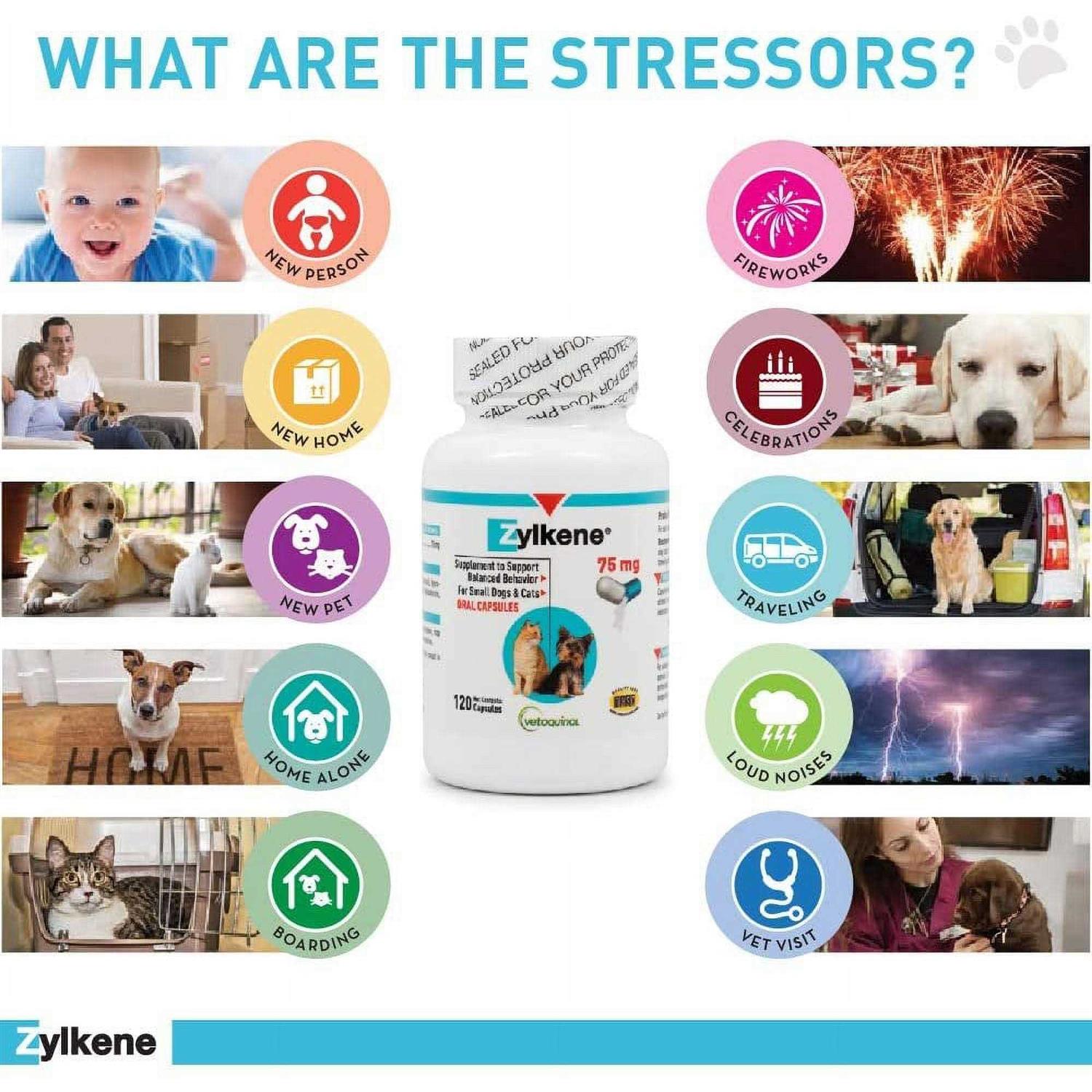 Zylkene Vetoquinol - Nail Gallerys