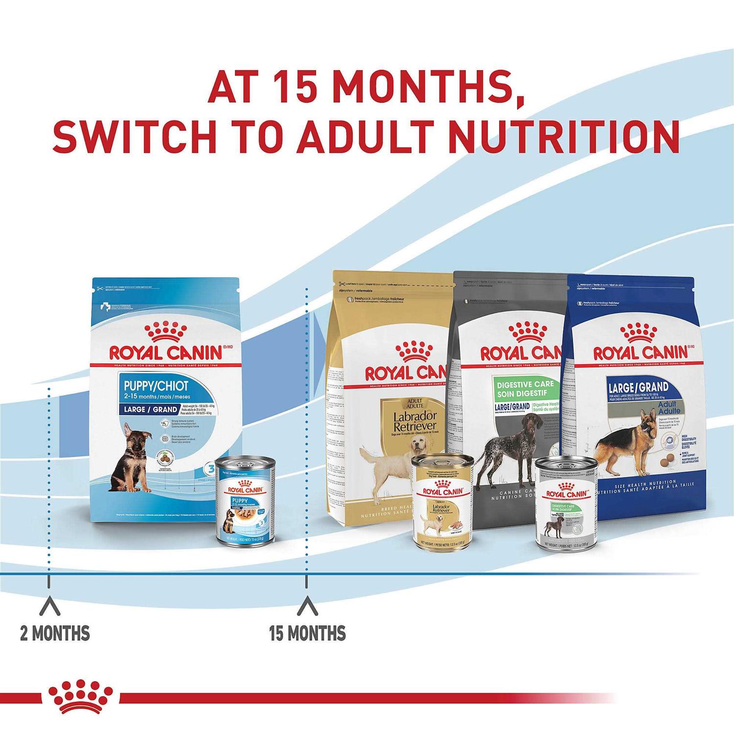 Royal Canin Size Health Nutrition Large Breed Puppy Dry Dog Food - Nail Gallerys