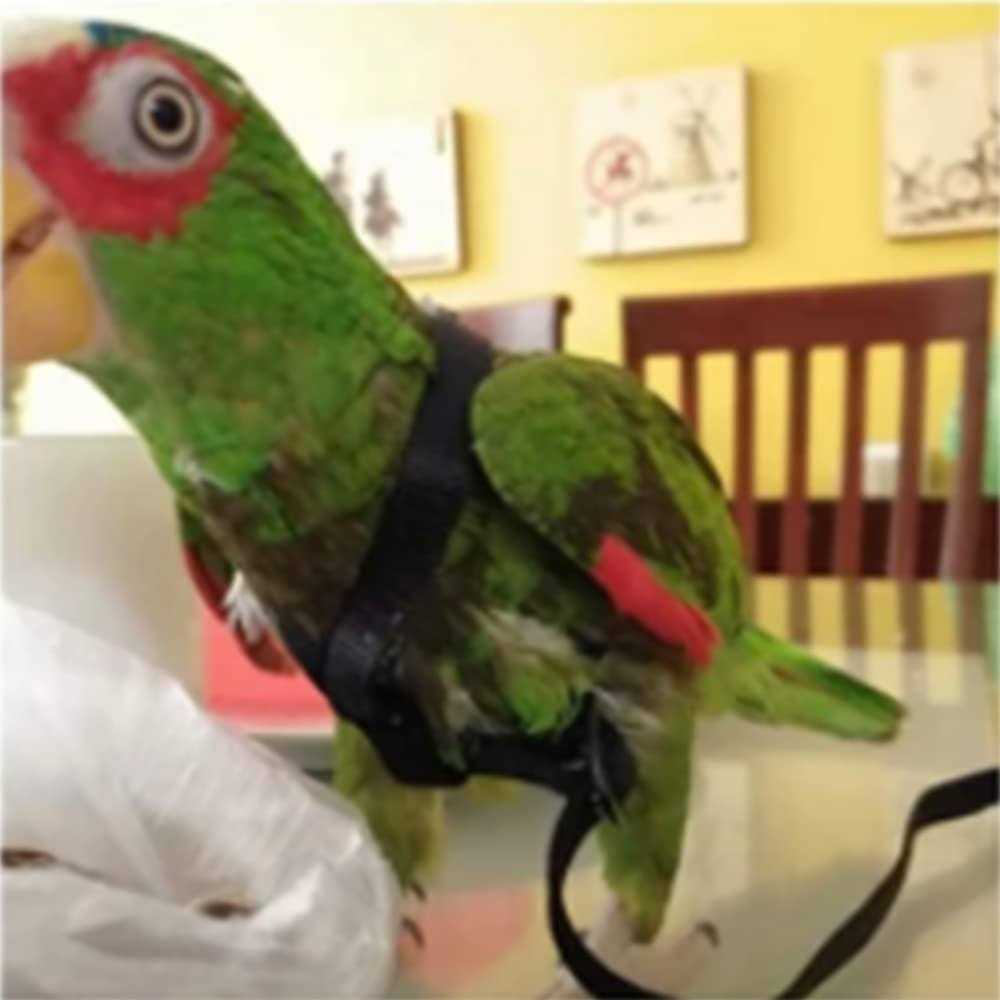 Anelekor Adjustable Birds Harness and Leash Parrot Harness Leash Training Supplies Pet Anti-bite Outdoor Flying Rope for Conures Budgerigar Lovebird - Nail Gallerys