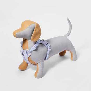 Boots & Barkley Basic Dog Collar - Nail Gallerys