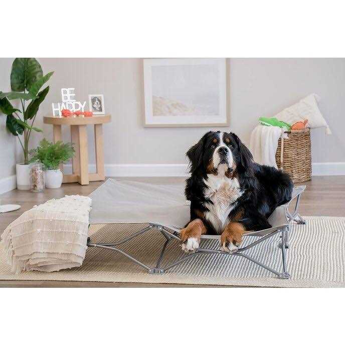 Carlson Pet Products Portable Pup Pet Bed - Nail Gallerys