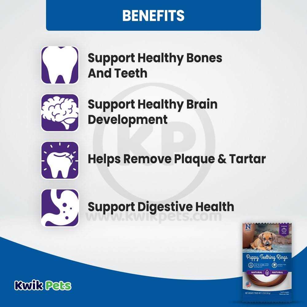 N-Bone Puppy Teething Ring Pumpkin - Nail Gallerys