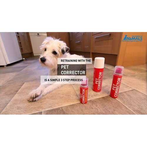 Pet Corrector 50 ml Spray - Nail Gallerys