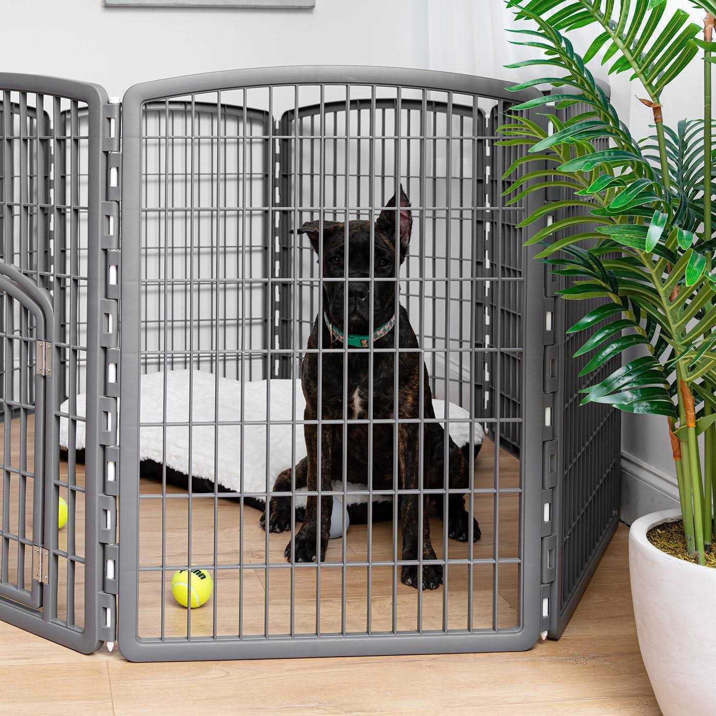 Iris Exercise 8-Panel Pet Playpen with Door - Nail Gallerys