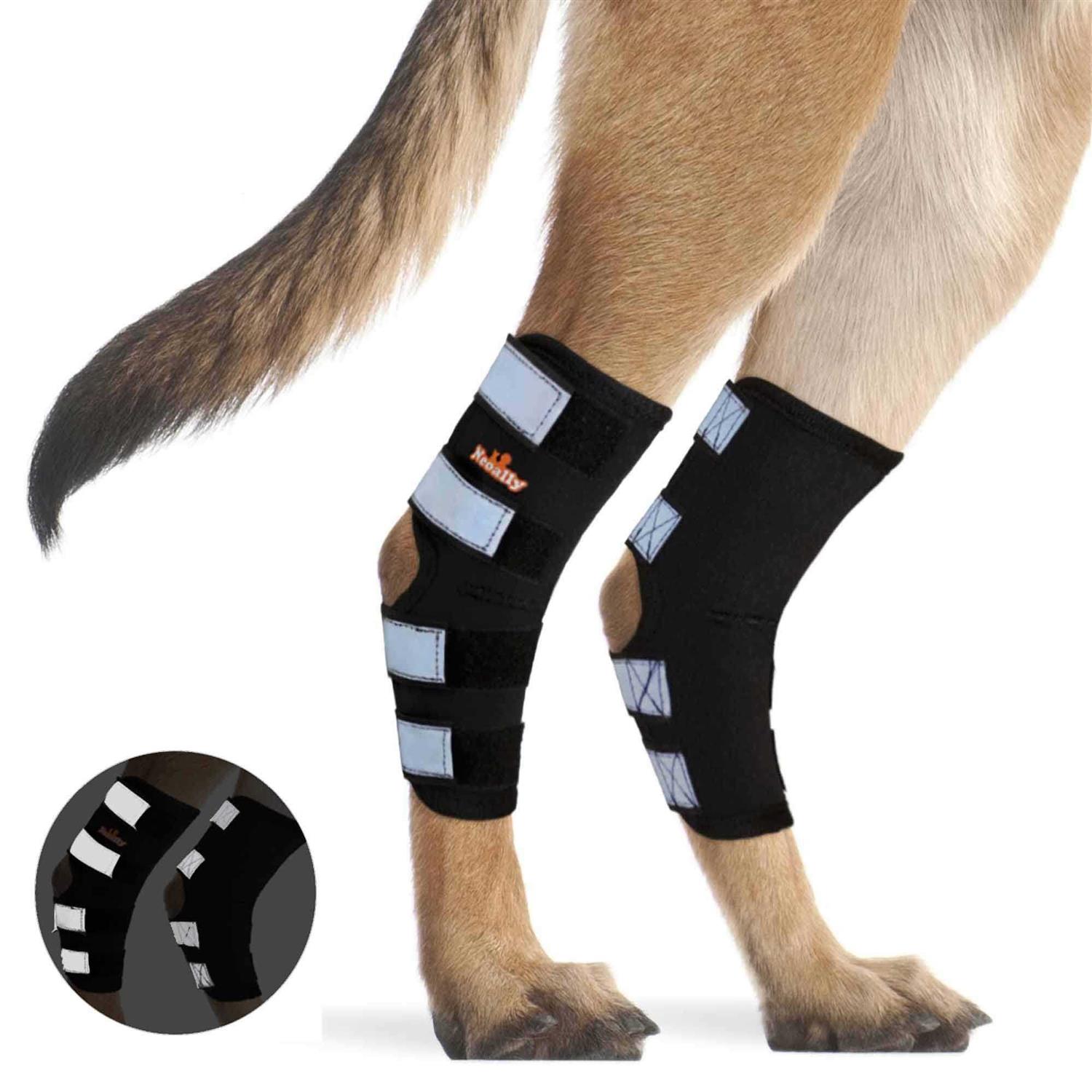 Neoally Dog Hind Leg Brace Canine Rear Leg Support with Safety Reflective Straps for Joint Injury - Nail Gallerys