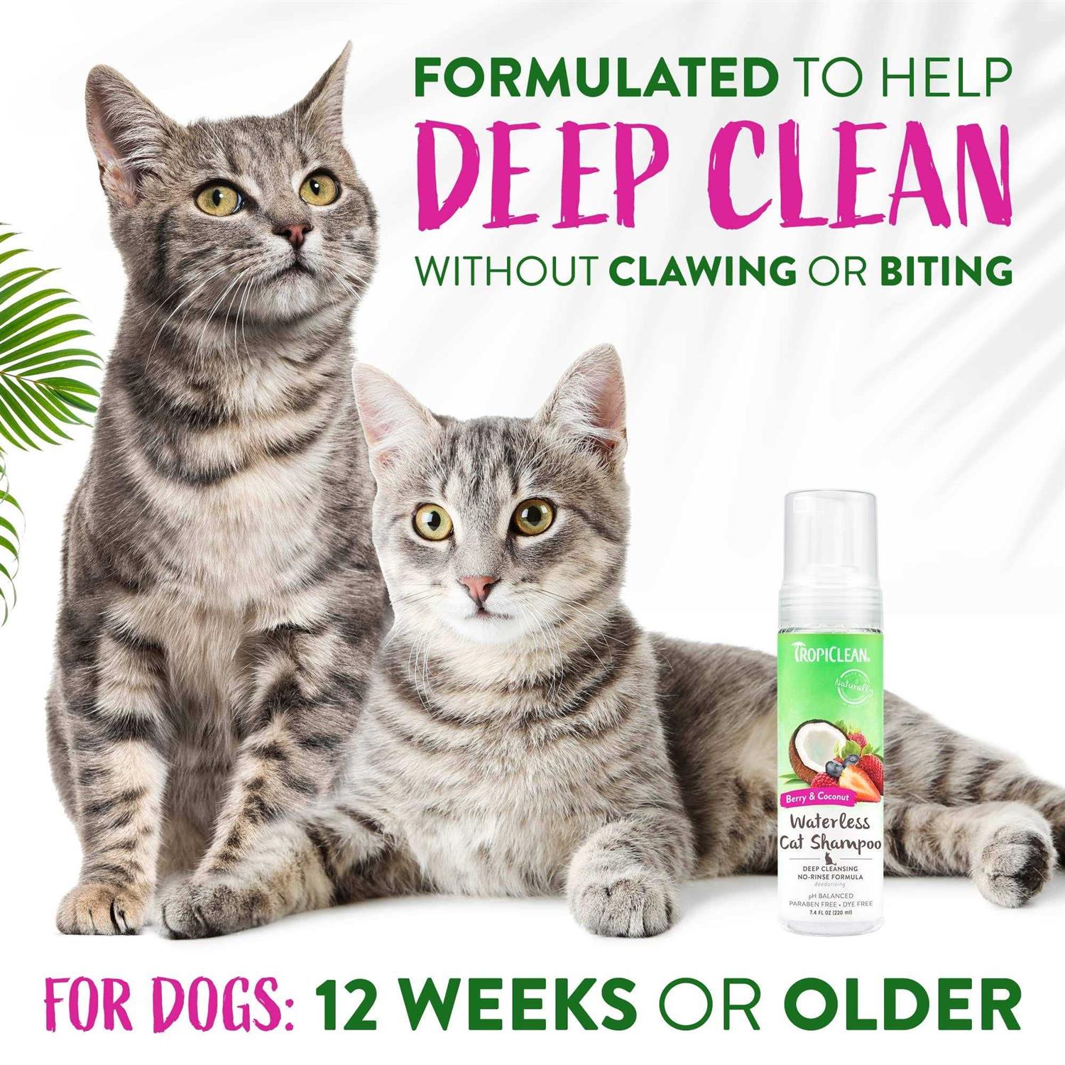 Tropiclean Waterless Deep Cleaning Cat Shampoo - Nail Gallerys