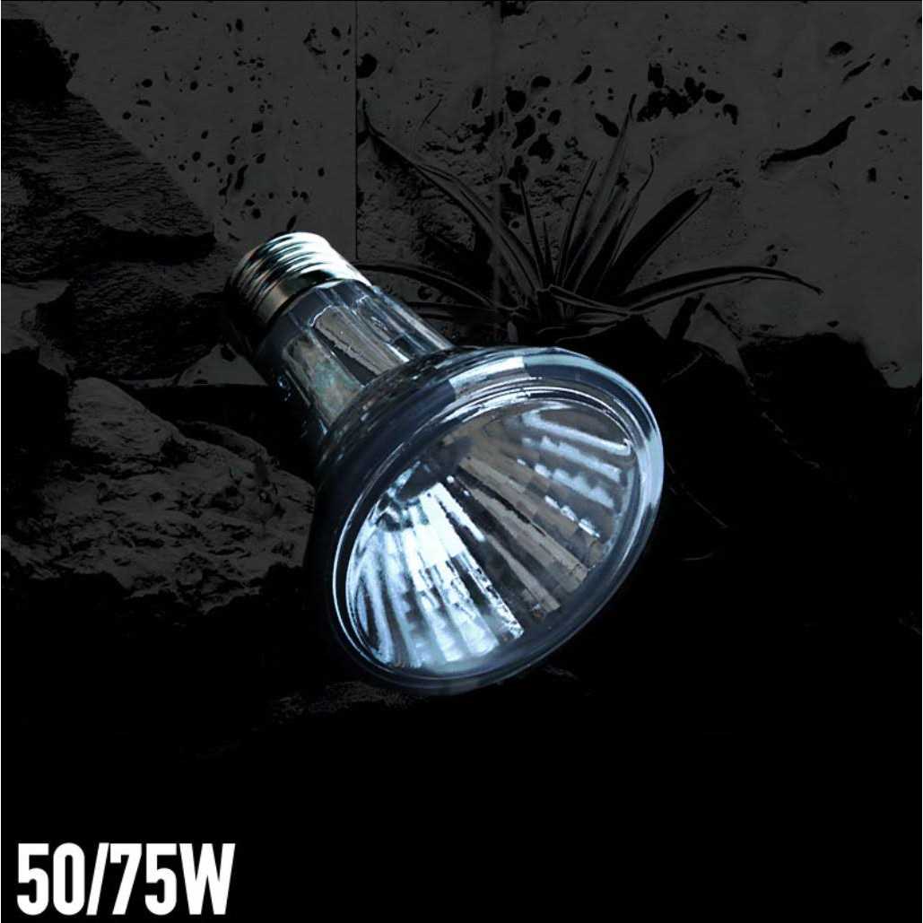 Arcadia Halogen Heat Lamp - Nail Gallerys