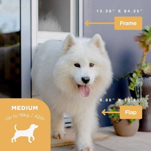 Hakuna Pets Small Silver Patio Pet Door - Nail Gallerys