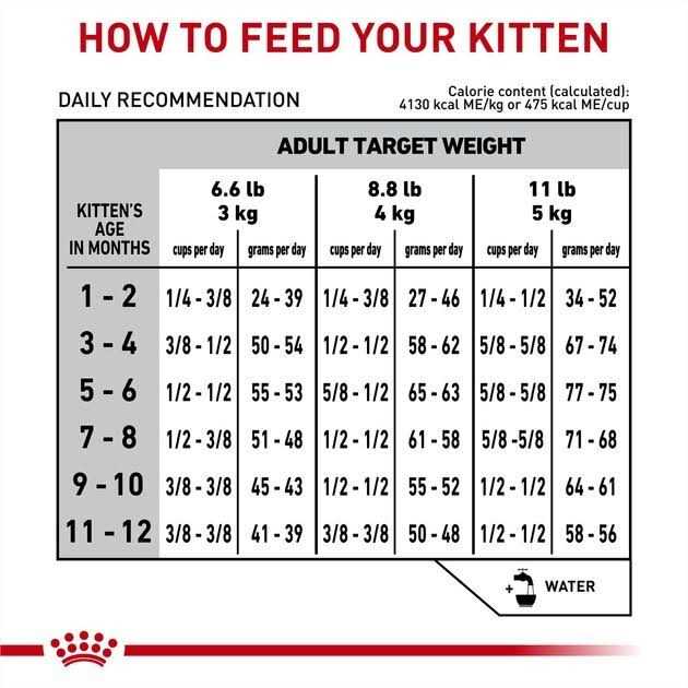 Royal Canin Veterinary Diet Feline Gastrointestinal Kitten Dry Cat Food - Nail Gallerys