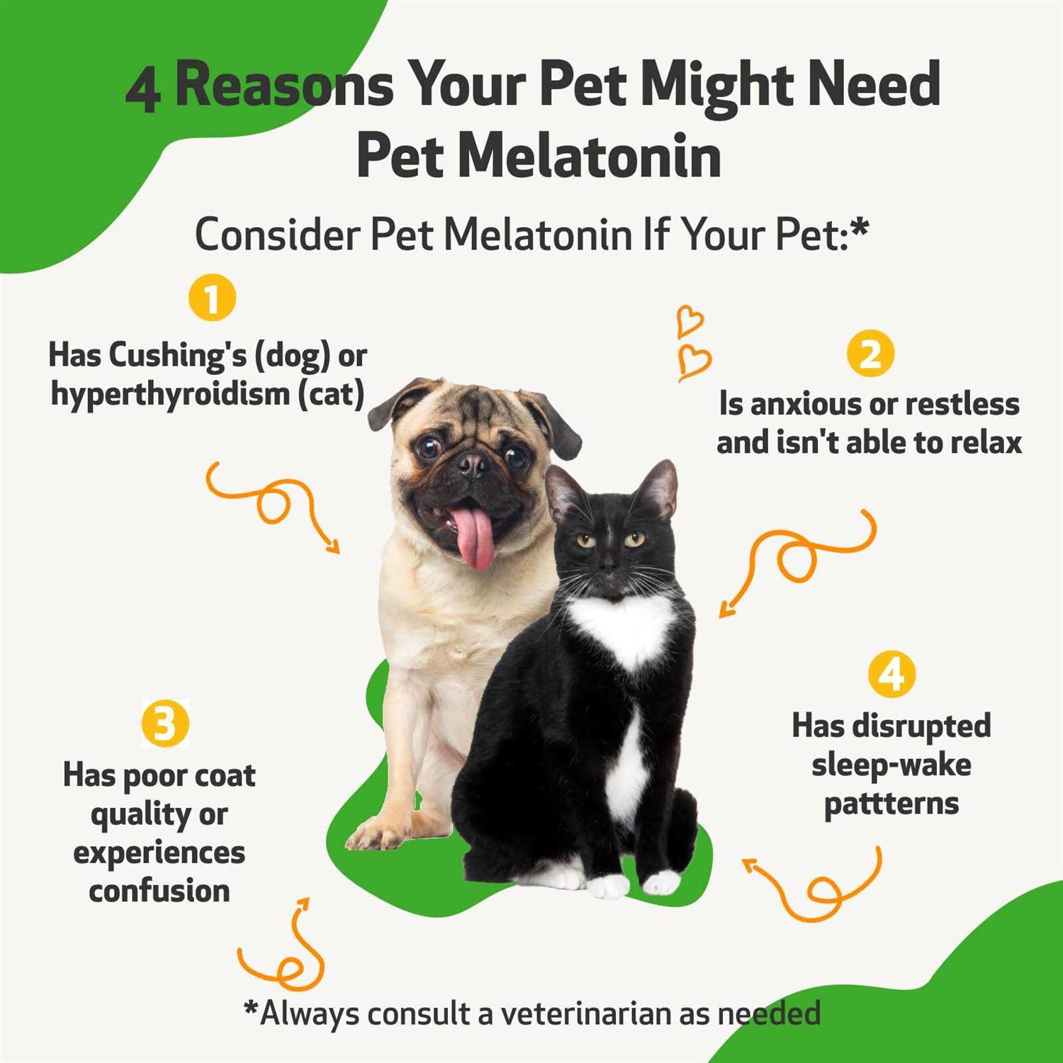Pet Melatonin for Dogs - Nail Gallerys
