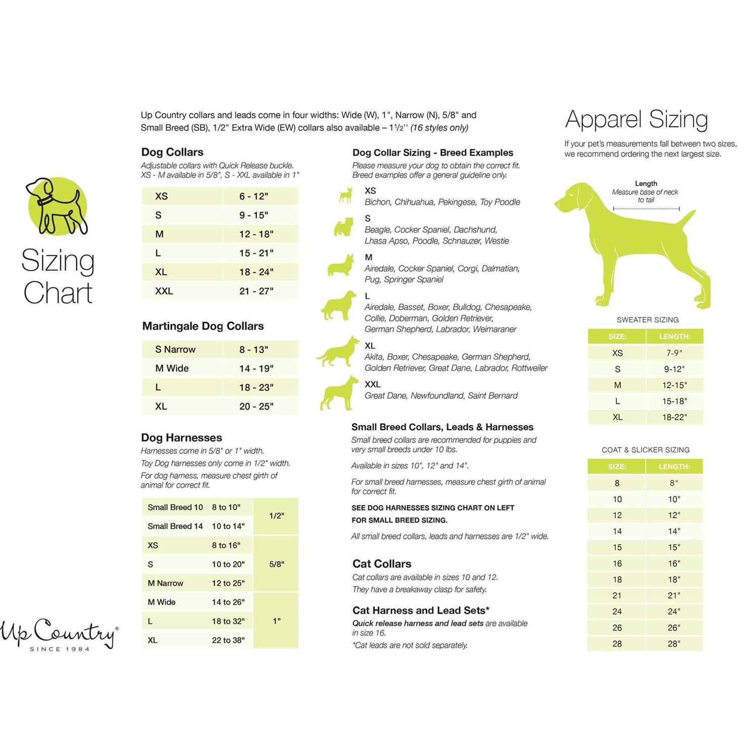 Up Country Daisy Dog Collar - Nail Gallerys