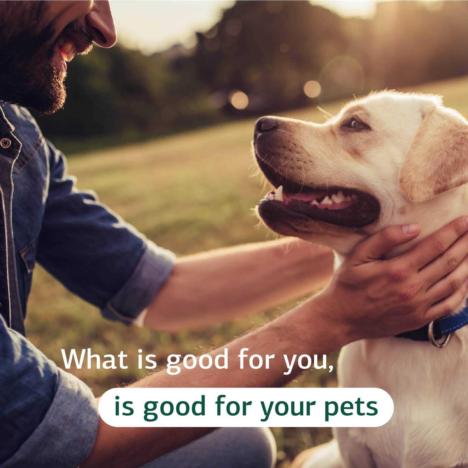 Canine Cardiac Support - Nail Gallerys