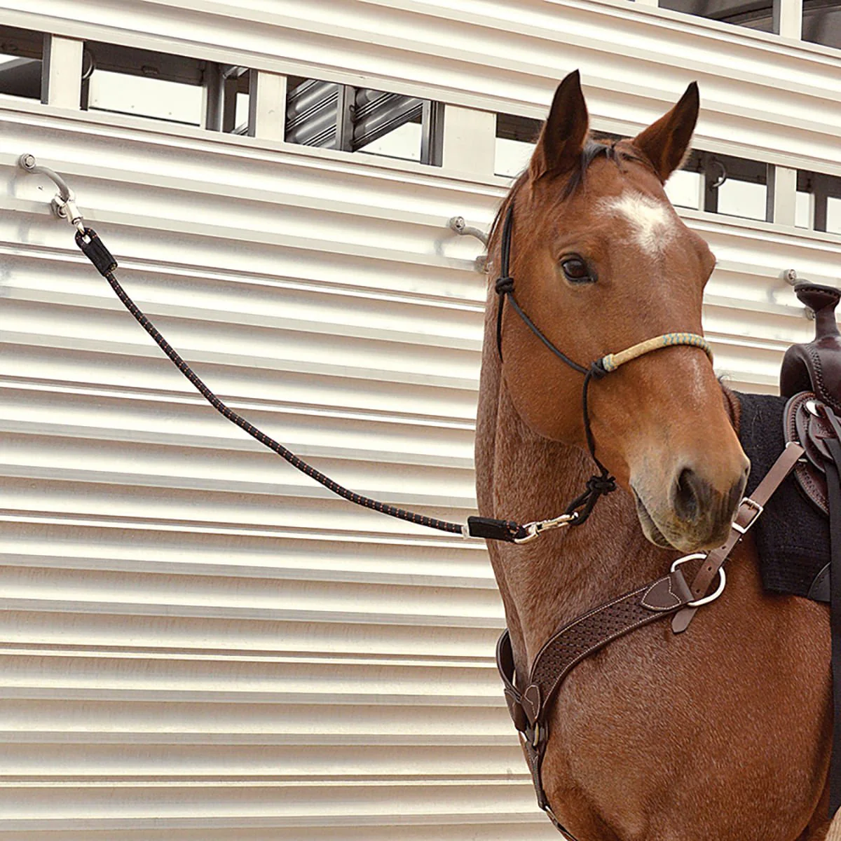 Cashel Triple Shock Cord - Nail Gallerys