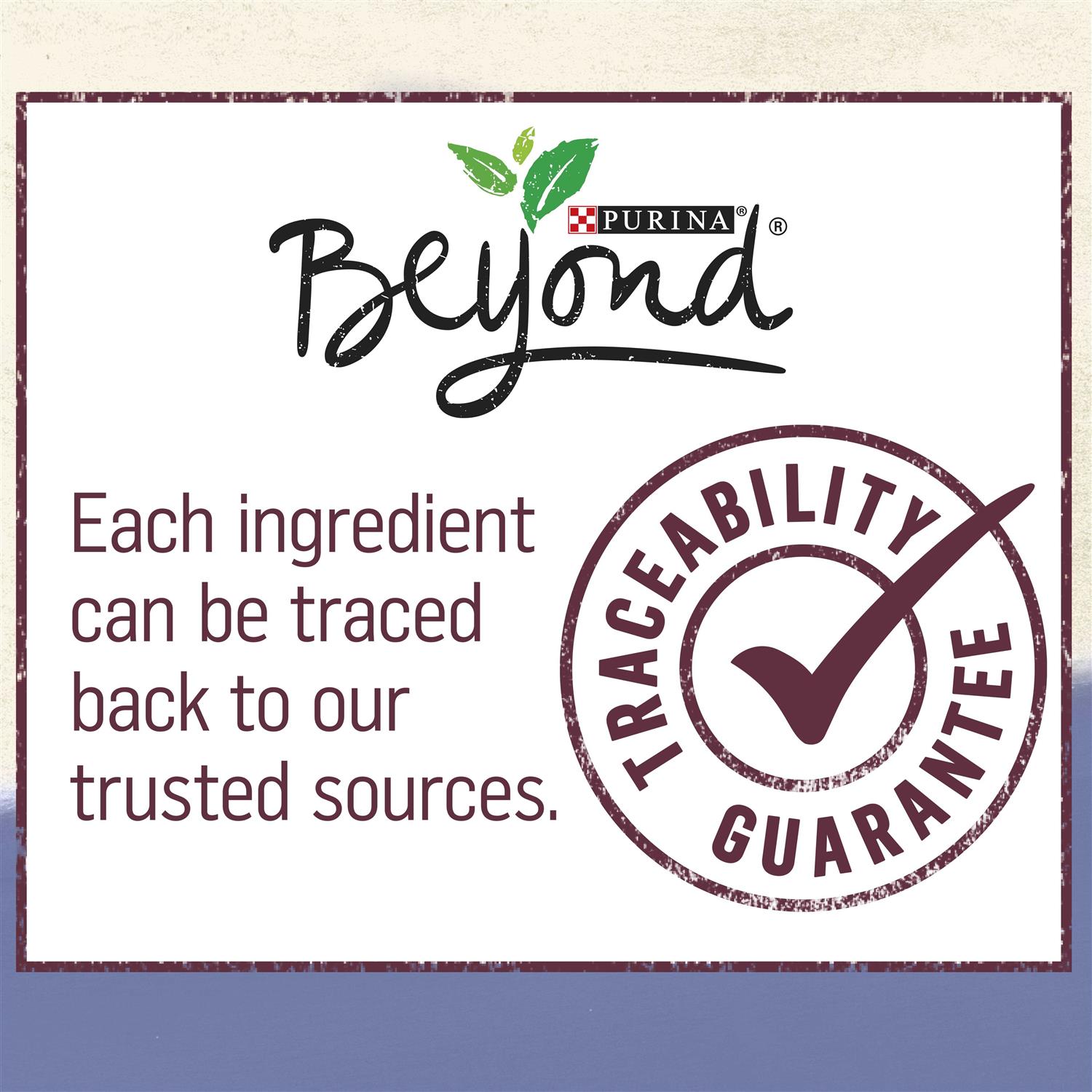 Purina Beyond Grain Free Ground Entrée Turkey & Sweet Potato Recipe Wet Dog Food - Nail Gallerys