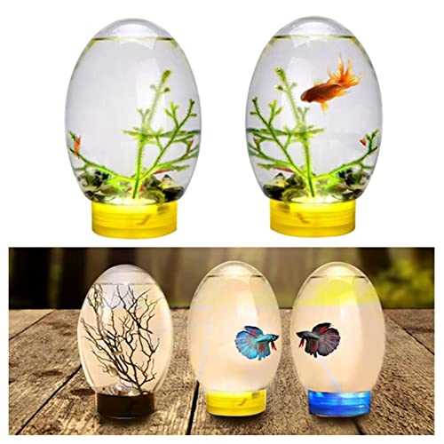 Mini Ecological Fish Tank, Closed Aquatic Ecosphere Desktop Aquarium with Led Base, Home Office Decor, No Need to Change Water (Color : Black) - Nail Gallerys