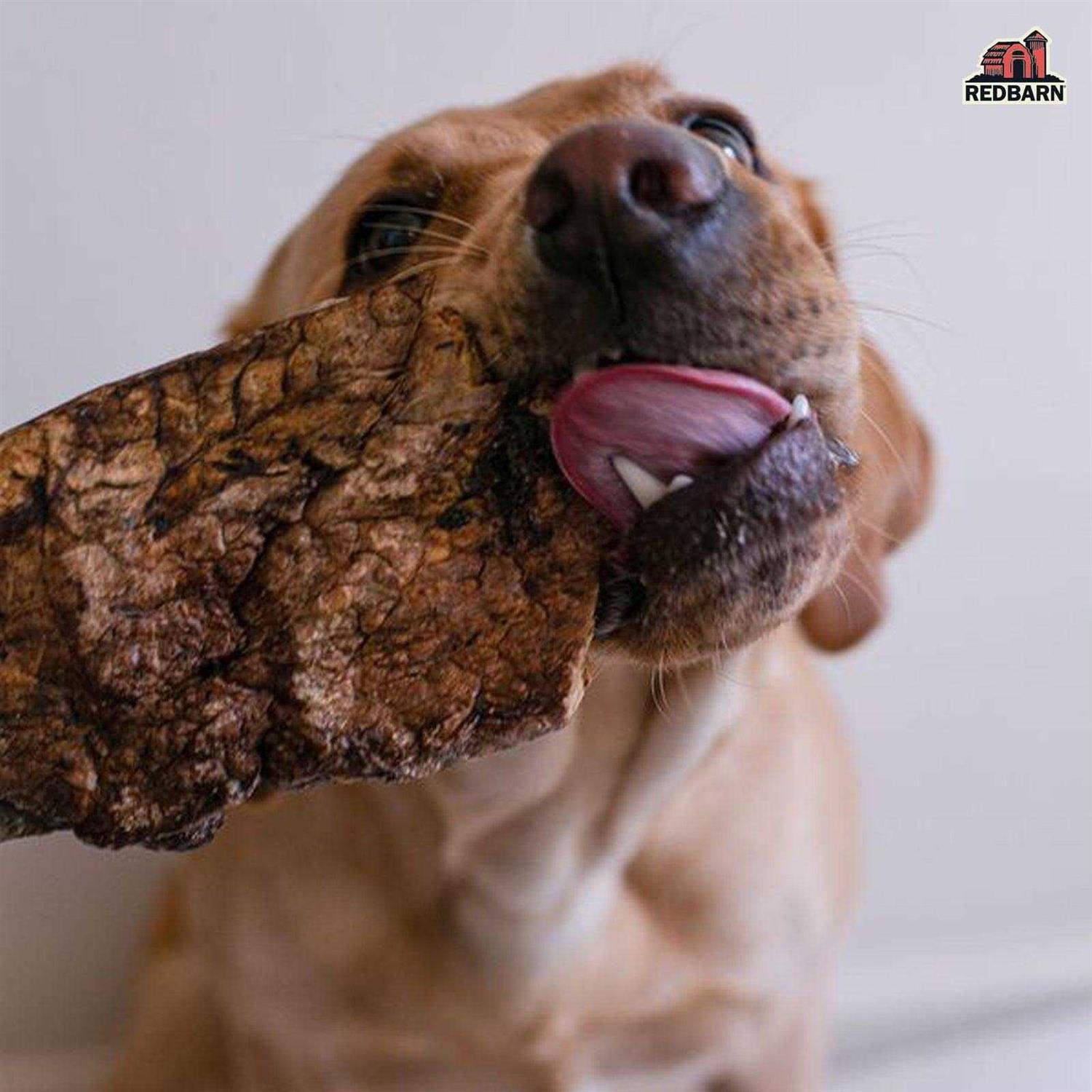 Redbarn Choppers Dog Treats - Nail Gallerys