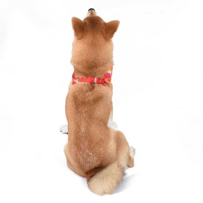 Nickelodeon All Stars Dog Harness for Large Dogs No Pull Dog Harness Vest with Nickelodeon Characters from Rugrats, Hey Arnold, and More - Nail Gallerys