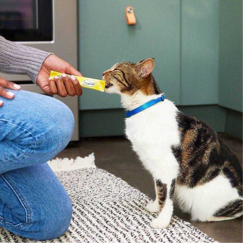 Temptations Creamy Puree Lickable Cat Treats - Nail Gallerys