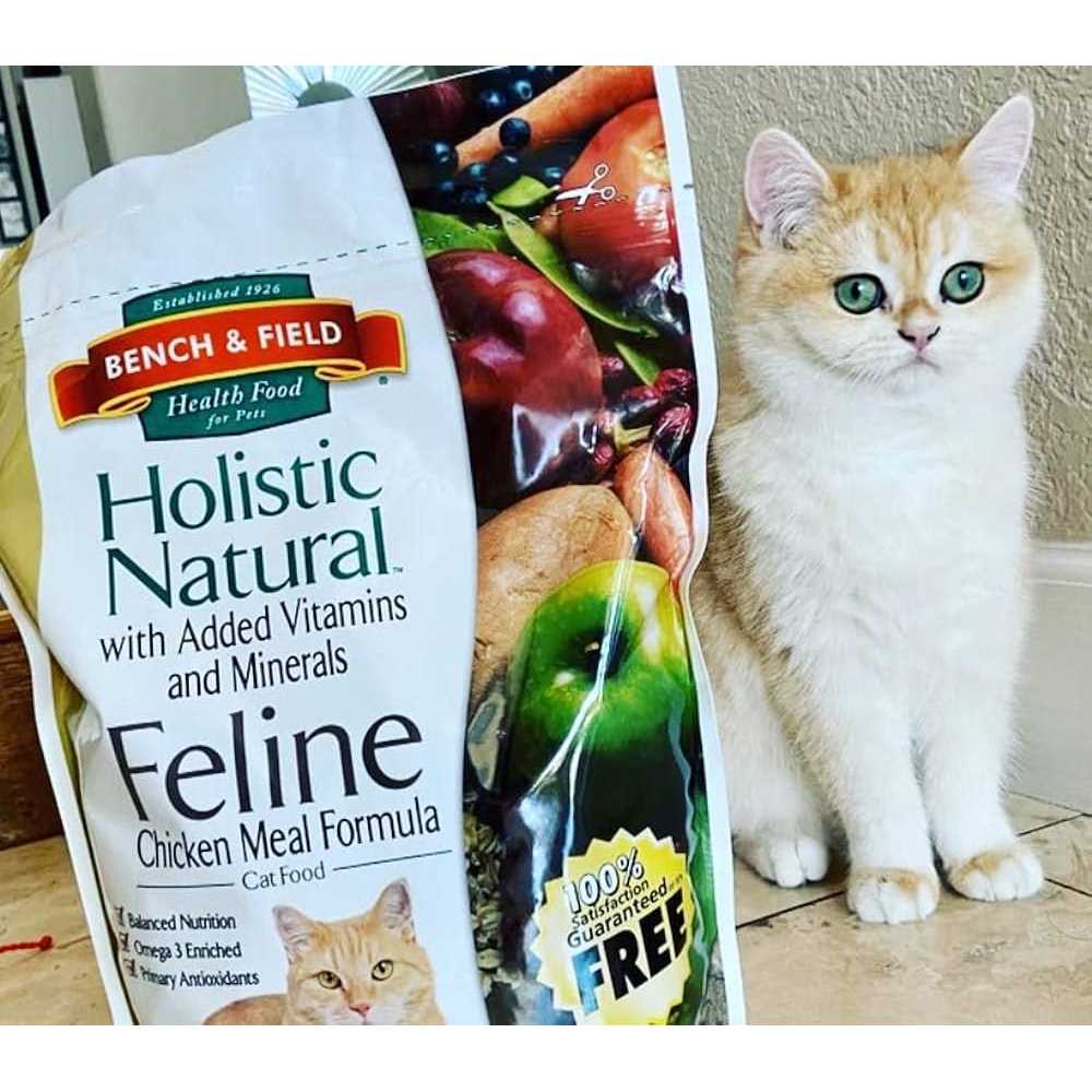 Bench & Field Holistic Natural Cat Food - Nail Gallerys