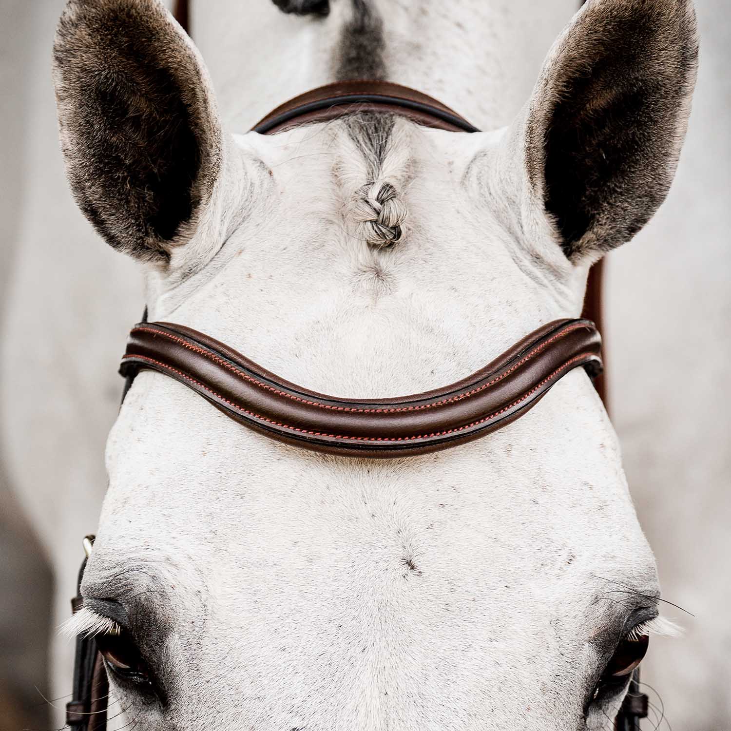 Micklem 2.0 Deluxe Competition Bridle, Havana - Nail Gallerys