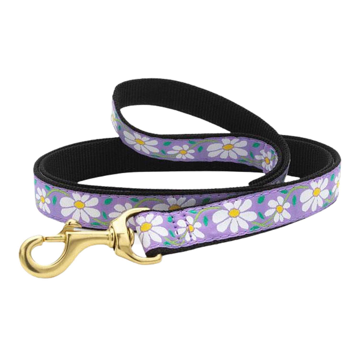 Up Country Daisy Dog Collar - Nail Gallerys