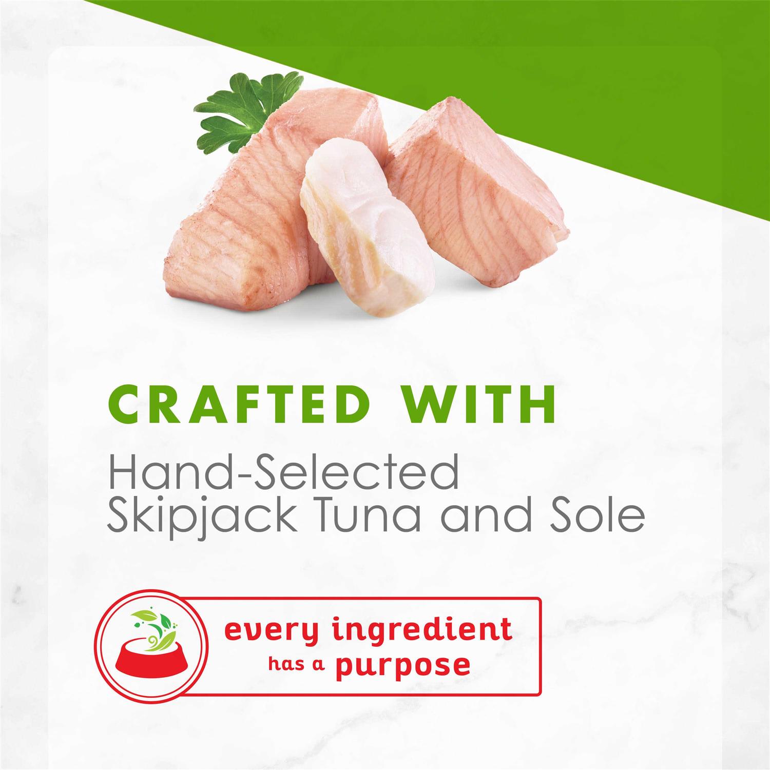 Fancy Feast Cat Food Wet Appetizers Skipjack Tuna - Nail Gallerys