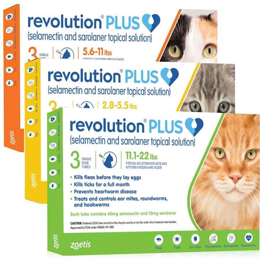 Revolution Plus Topical Solution for Cats - Nail Gallerys