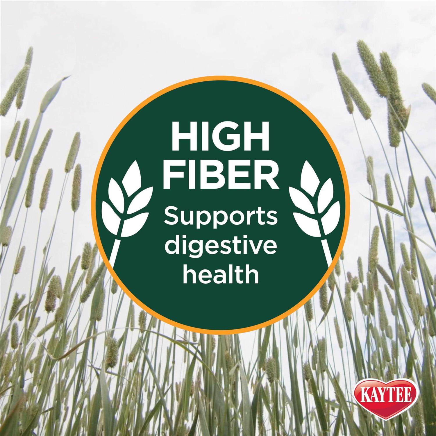 Kaytee Natural Timothy Hay - Nail Gallerys