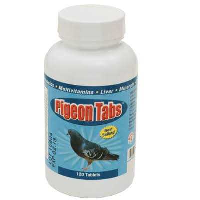 Pigeon Tabs 120ct - Nail Gallerys