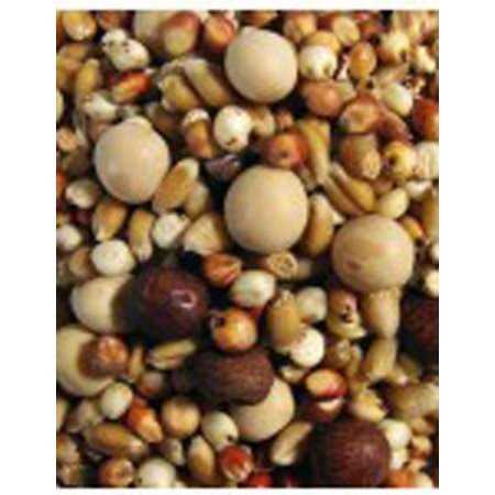 F.M. Browns Breeder Kafir Pigeon Food 50 lb - Nail Gallerys