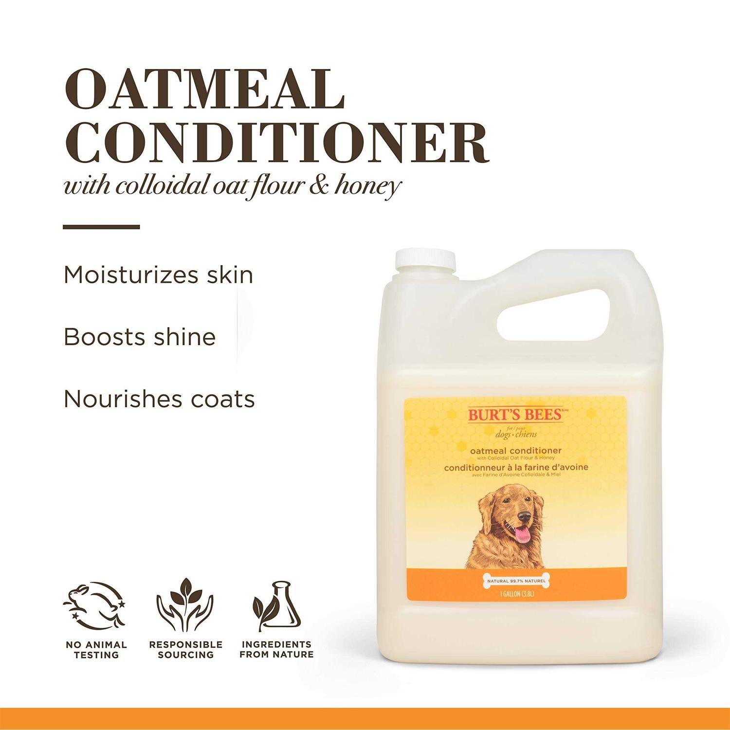 Burt’s Bees Oatmeal Dog Conditioner - Nail Gallerys