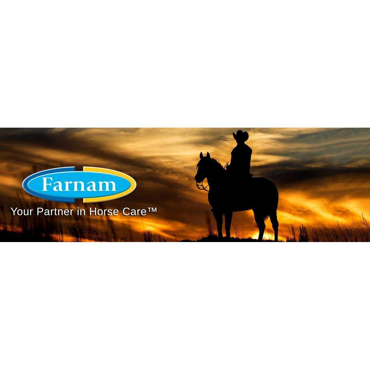 Farnam No Chew Spray - Nail Gallerys